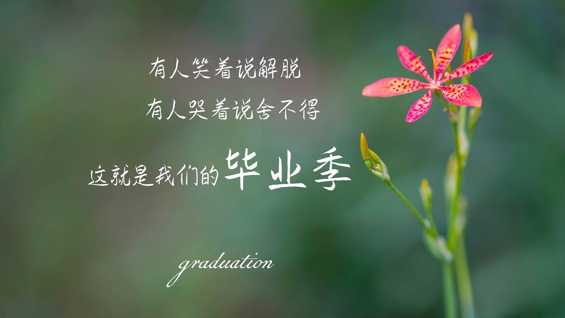 “年度焦点战役,战术博弈见真章”,焦点博弈是啥