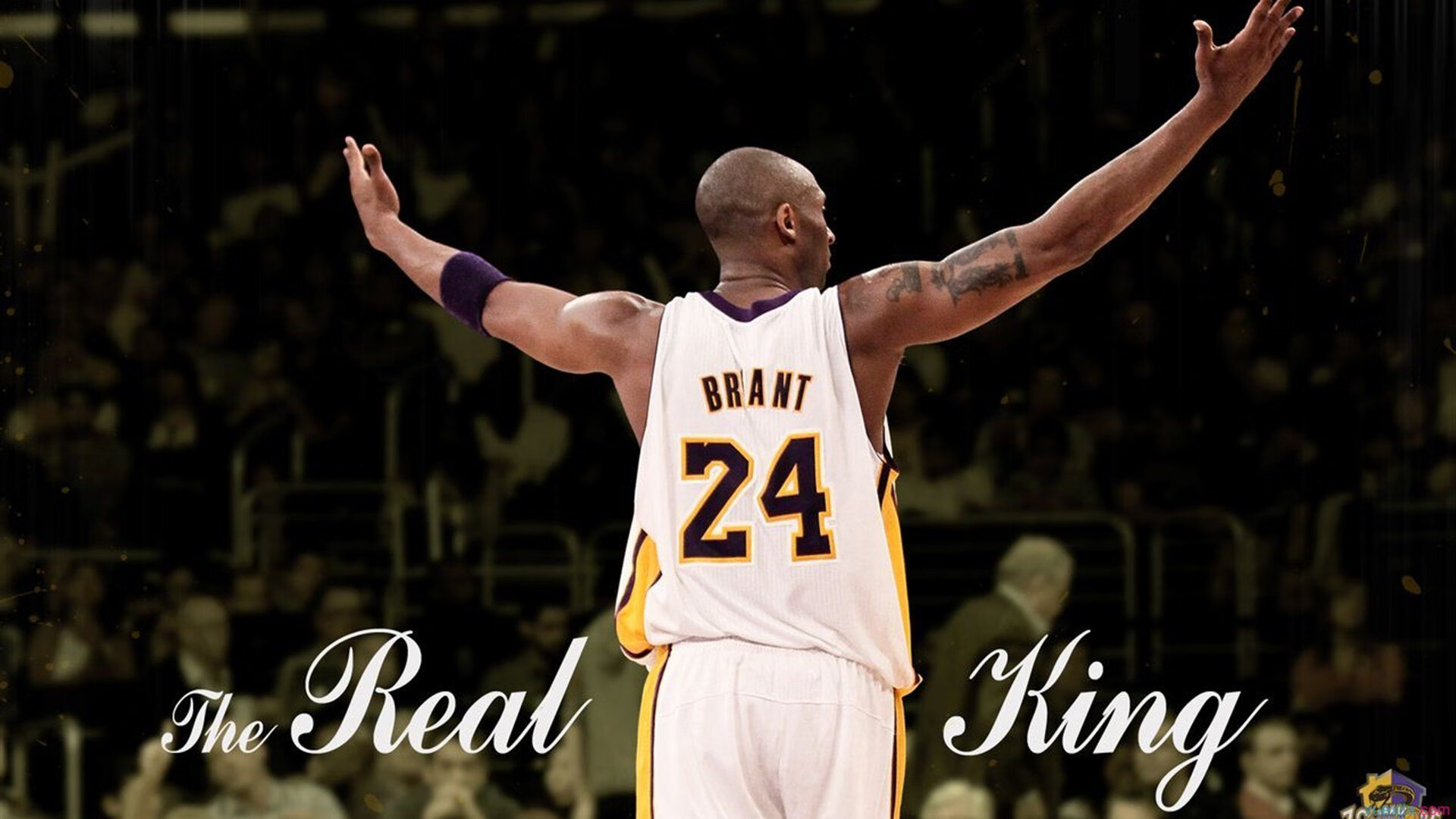 爱游戏内容中心-世界杯高光时刻：经典瞬间永恒流传！，世界杯冠军激动视频